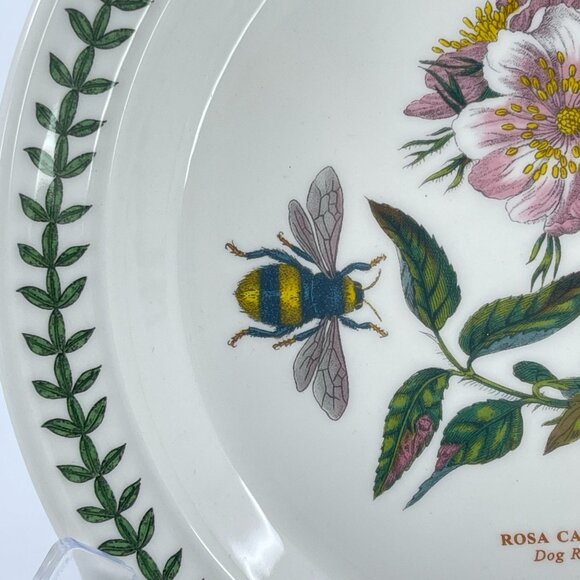 portmeirion botanic garden collection salad plate "rosa canina dog rose" pattern - Picture 2 of 8